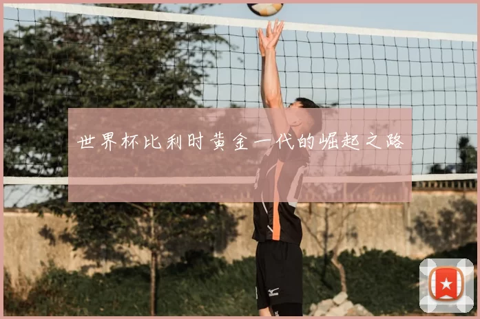 世界杯比利时黄金一代的崛起之路