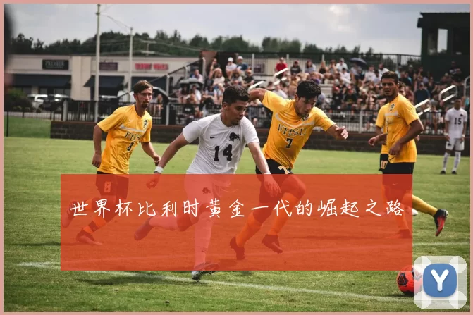 世界杯比利时黄金一代的崛起之路
