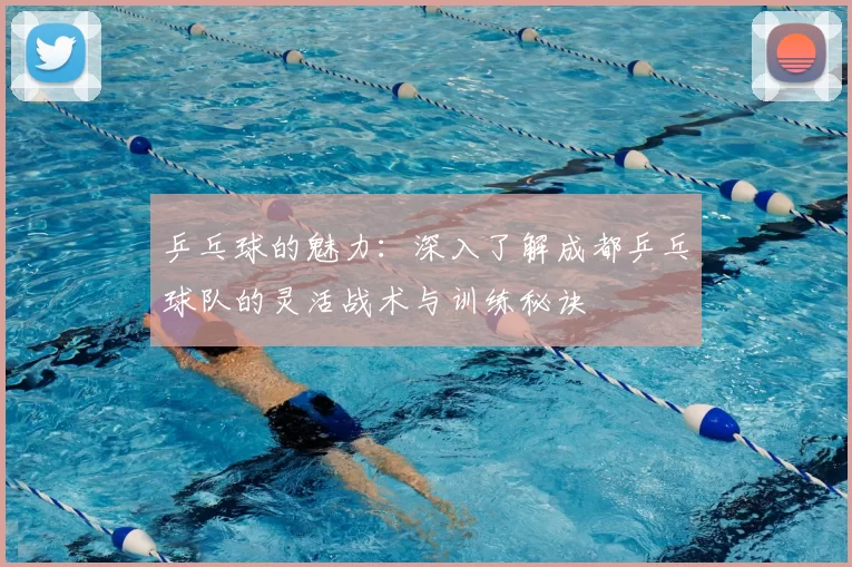 乒乓球的魅力：深入了解成都乒乓球队的灵活战术与训练秘诀