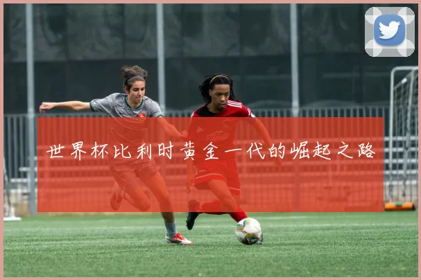 世界杯比利时黄金一代的崛起之路