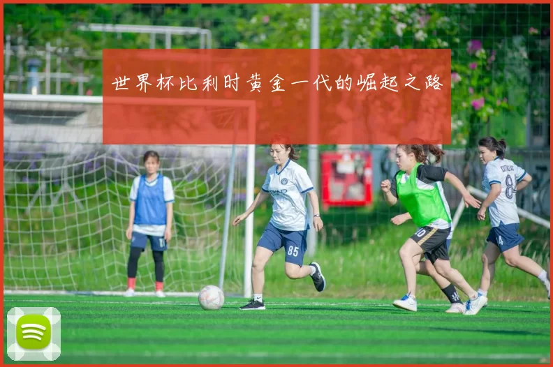世界杯比利时黄金一代的崛起之路