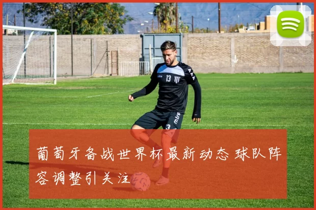 葡萄牙备战世界杯最新动态 球队阵容调整引关注