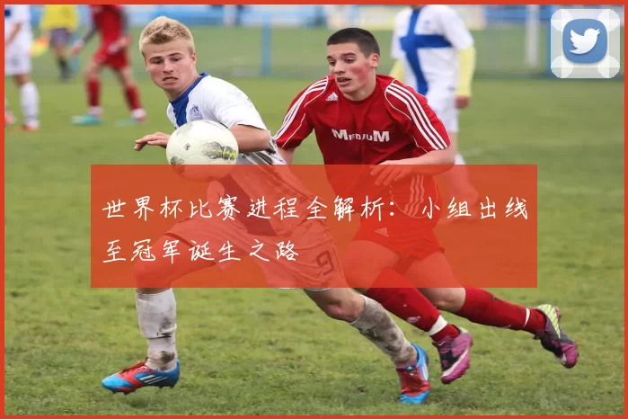 世界杯比赛进程全解析：小组出线至冠军诞生之路