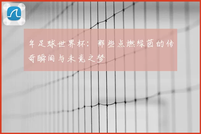 年足球世界杯：那些点燃绿茵的传奇瞬间与未竟之梦
