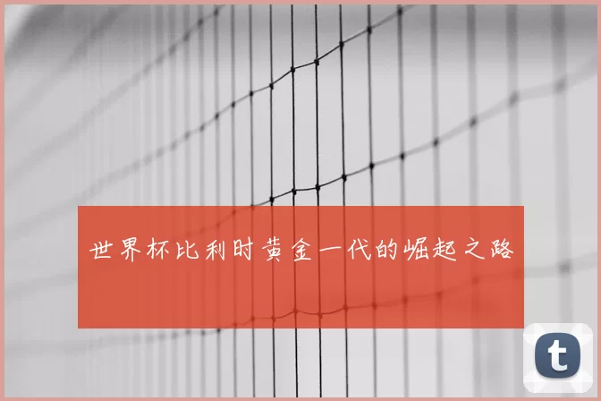 世界杯比利时黄金一代的崛起之路