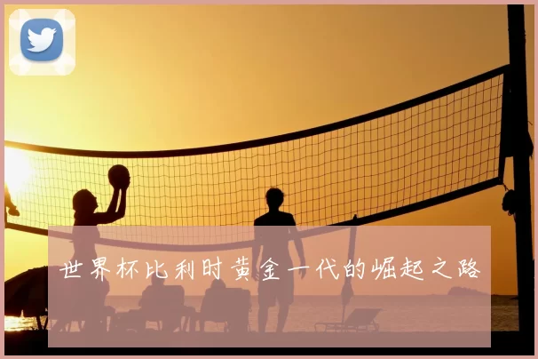 世界杯比利时黄金一代的崛起之路