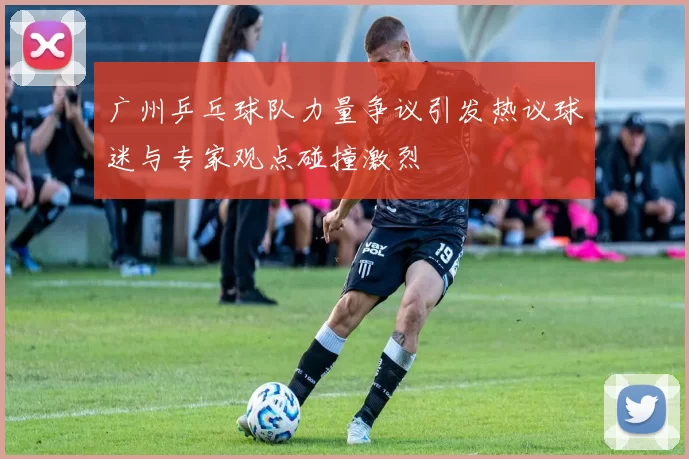广州乒乓球队力量争议引发热议球迷与专家观点碰撞激烈
