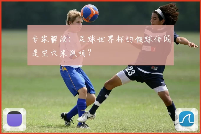 专家解读：足球世界杯的假球传闻是空穴来风吗？