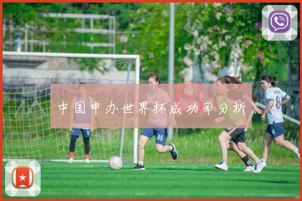 中国申办世界杯成功率分析