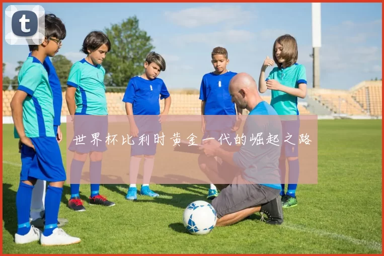 世界杯比利时黄金一代的崛起之路
