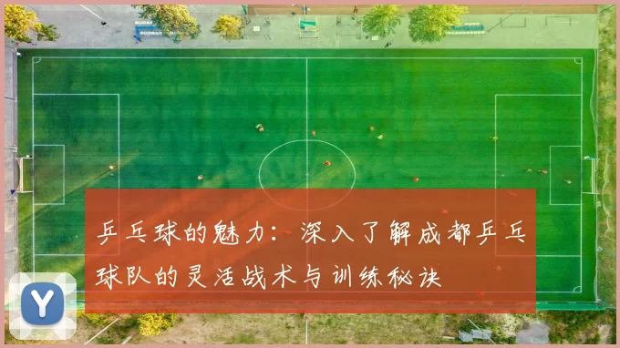 乒乓球的魅力：深入了解成都乒乓球队的灵活战术与训练秘诀