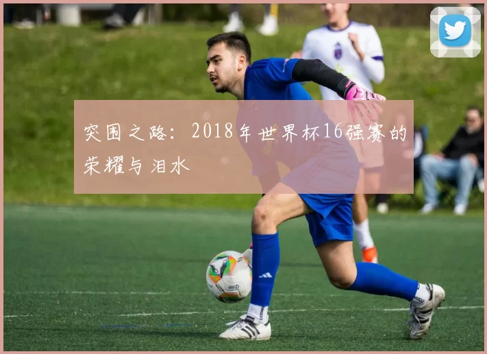 突围之路：2018年世界杯16强赛的荣耀与泪水