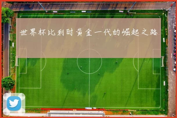 世界杯比利时黄金一代的崛起之路