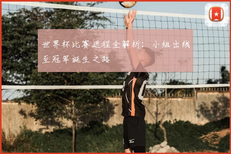 世界杯比赛进程全解析：小组出线至冠军诞生之路