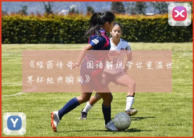 《绿茵传奇：国语解说带你重温世界杯经典瞬间》
