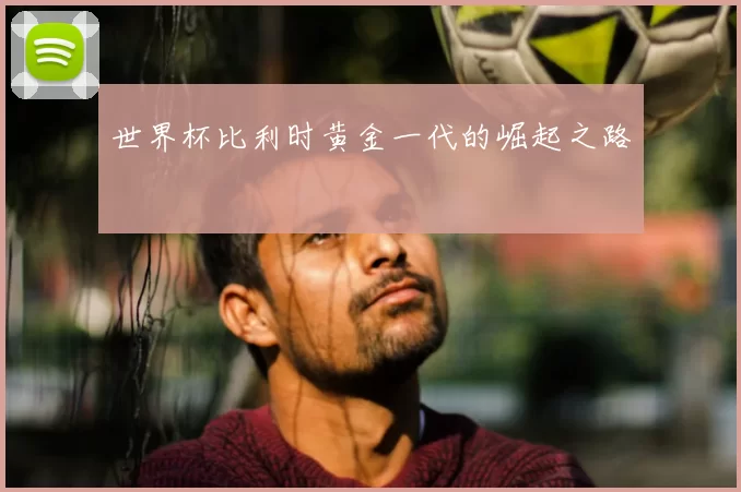 世界杯比利时黄金一代的崛起之路