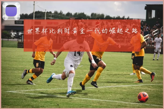 世界杯比利时黄金一代的崛起之路