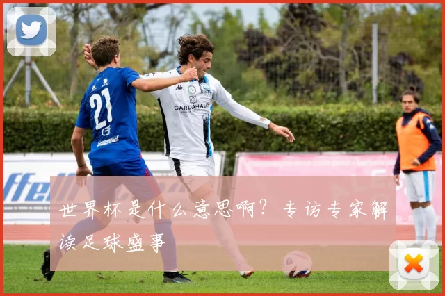 世界杯是什么意思啊?专访专家解读足球盛事