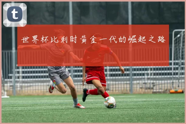 世界杯比利时黄金一代的崛起之路