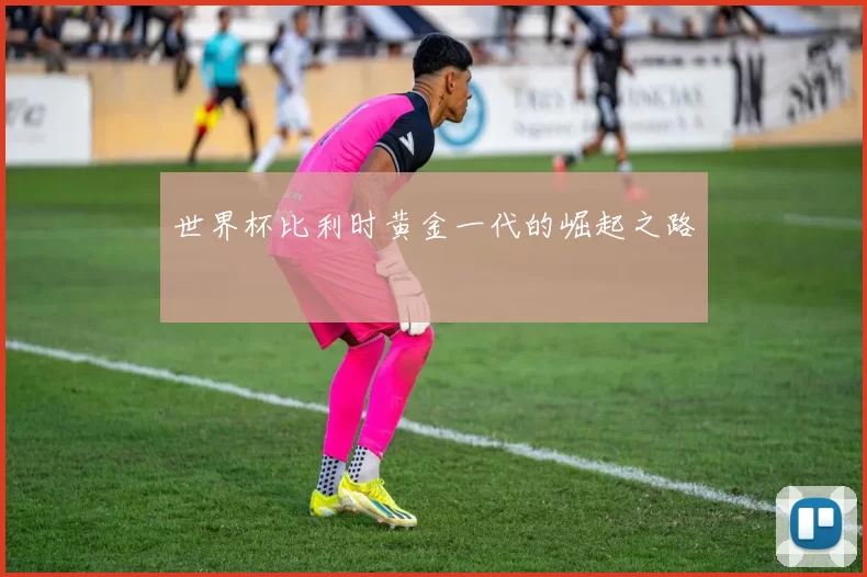 世界杯比利时黄金一代的崛起之路