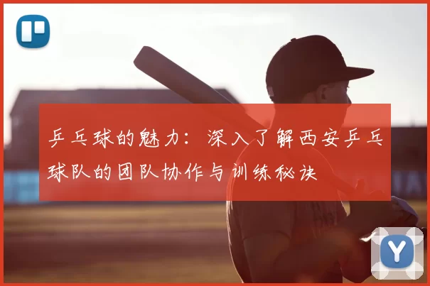 乒乓球的魅力：深入了解西安乒乓球队的团队协作与训练秘诀
