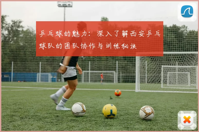 乒乓球的魅力：深入了解西安乒乓球队的团队协作与训练秘诀
